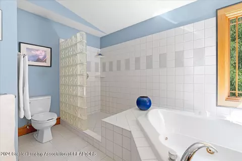 Bath - 8358 Loomis Rd, Dewitt, MI 48820 photo 3 of 4