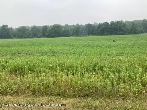 0 Birchridge Parcel K Dr, Charlotte, MI 48813