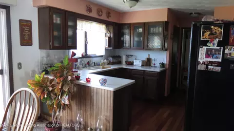 8990 E Maple Rapids Rd, Elsie, MI 48831 photo 10