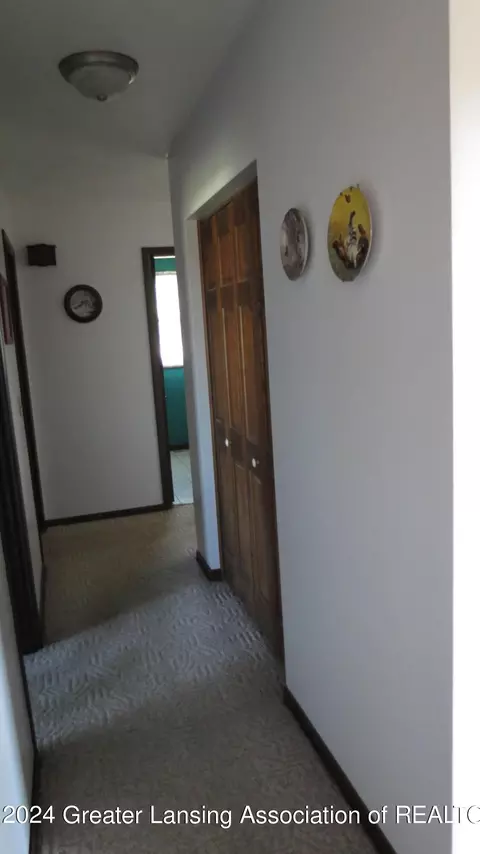 8990 E Maple Rapids Rd, Elsie, MI 48831 photo 21