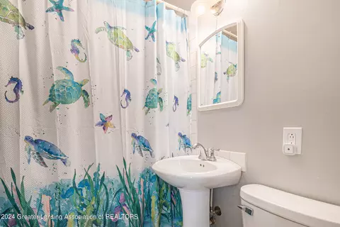 707 E Walker St, Saint Johns, MI 48879 photo 15