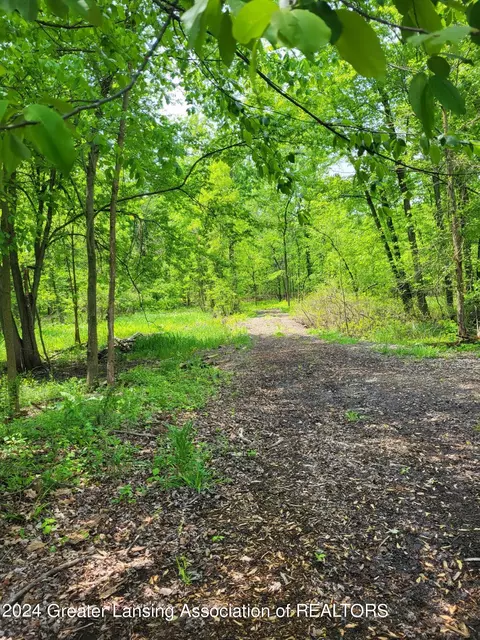 Undisclosed, Webberville, MI 48892