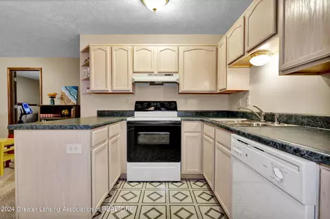 727 Fieldview Dr, Grand Ledge, MI 48837 photo 29