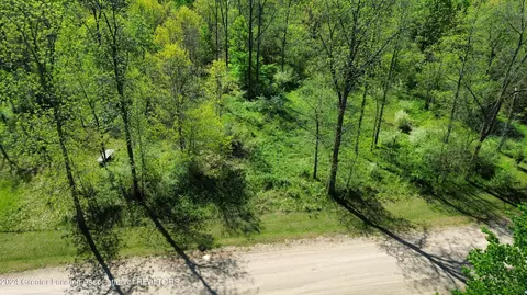 V/l Island Road, Fowler, MI 48835