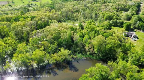 V/l Island Rd, Fowler, MI 48835 photo 12
