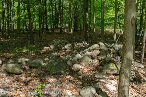 V/l Island Rd, Fowler, MI 48835 photo 6