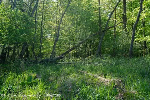 V/l Island Rd, Fowler, MI 48835 photo 4