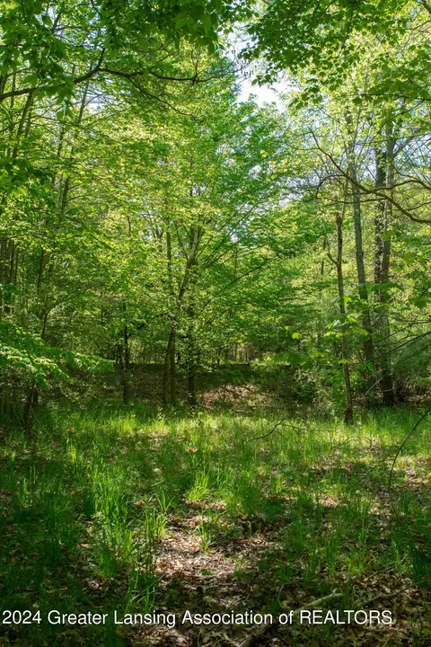 V/l Island Rd, Fowler, MI 48835 photo 3