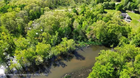 V/l Island Rd, Fowler, MI 48835 photo 13
