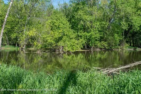 V/l Island Rd, Fowler, MI 48835 photo 8