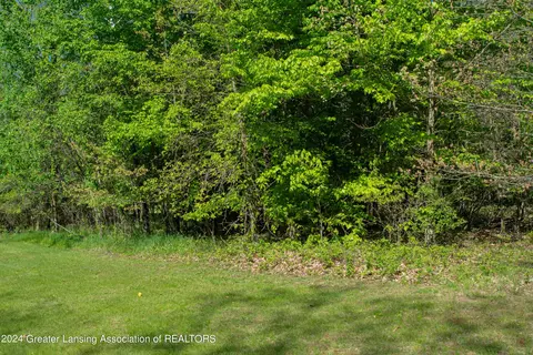 V/l Island Rd, Fowler, MI 48835 photo 2