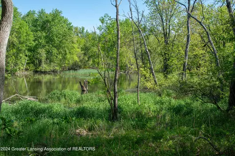V/l Island Rd, Fowler, MI 48835 photo 16