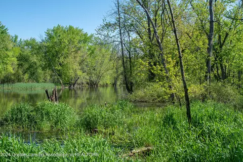 V/l Island Rd, Fowler, MI 48835 photo 10