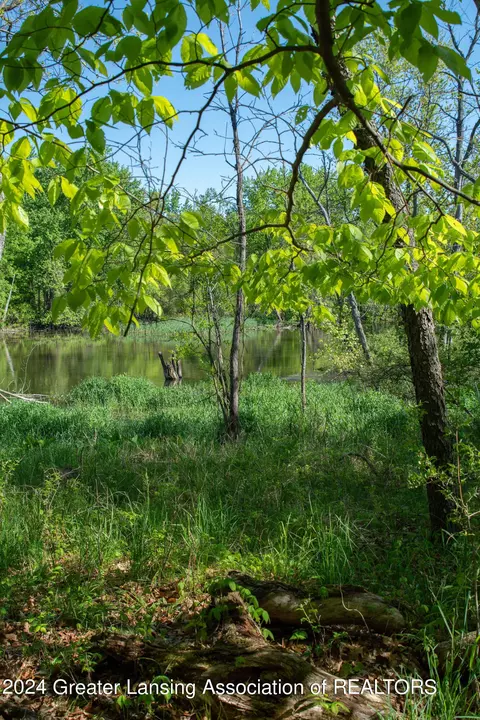 V/l Island Rd, Fowler, MI 48835 photo 7