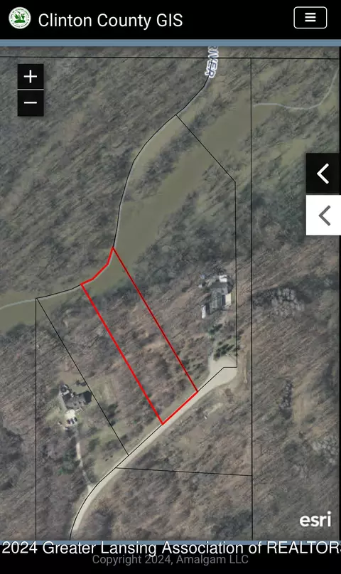 V/l Island Rd, Fowler, MI 48835 photo 17