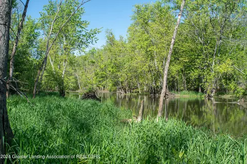 V/l Island Rd, Fowler, MI 48835 photo 9
