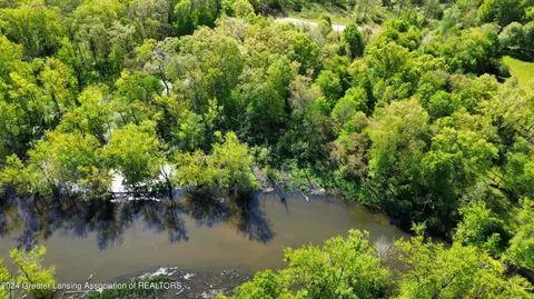 V/l Island Rd, Fowler, MI 48835 photo 11