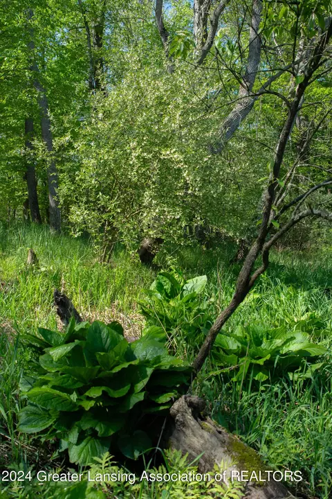 V/l Island Rd, Fowler, MI 48835 photo 5
