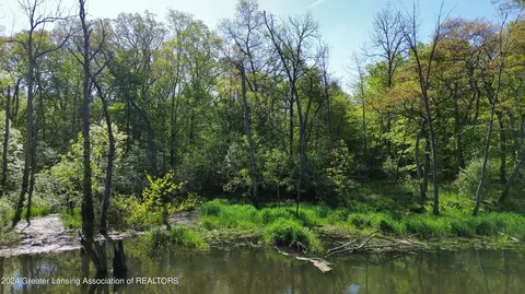 V/l Island Rd, Fowler, MI 48835 photo 15
