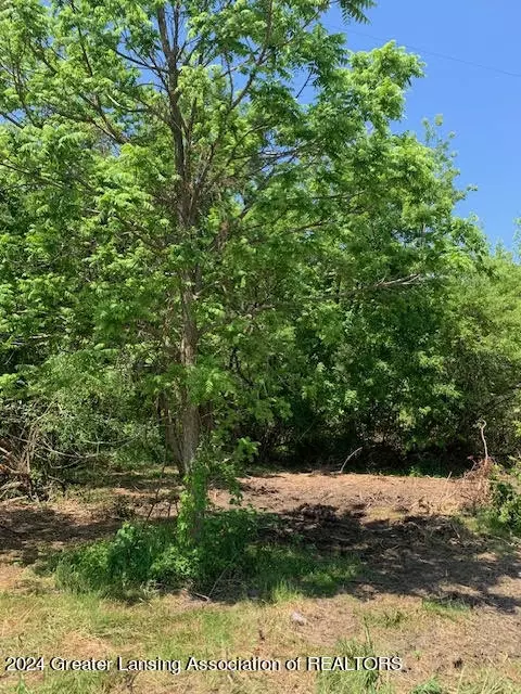 0 Pares Rd, Dimondale, MI 48821