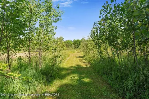 6181 E Price Rd, Saint Johns, MI 48879 photo 34