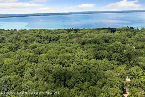 View/Area - 223 Pingree St, Roscommon, MI 48653 photo 7 of 9