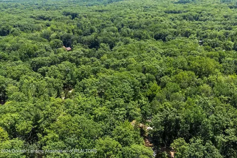 View/Area - 223 Pingree St, Roscommon, MI 48653 photo 4 of 9