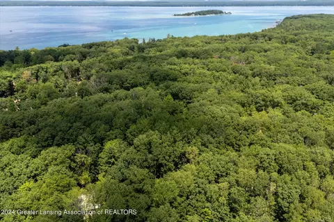 View/Area - 223 Pingree St, Roscommon, MI 48653 photo 5 of 9