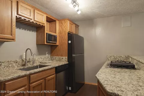 10367 River Rock Blvd, Dimondale, MI 48821 photo 49