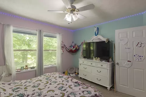 10367 River Rock Blvd, Dimondale, MI 48821 photo 42