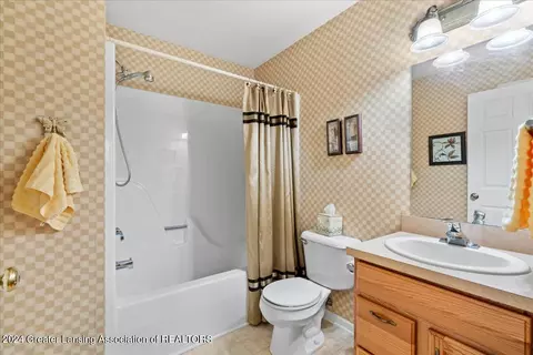 Bath - 903 Oak Brook Dr, Jackson, MI 49203 photo 2 of 3