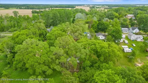 View/Area - 8115 N Welling Rd, Elsie, MI 48831 photo 3 of 4