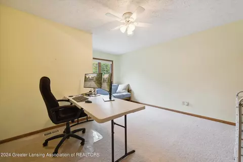 3987 White Pine Dr, Dewitt, MI 48820 photo 34