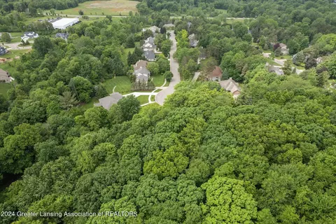 3987 White Pine Dr, Dewitt, MI 48820 photo 54