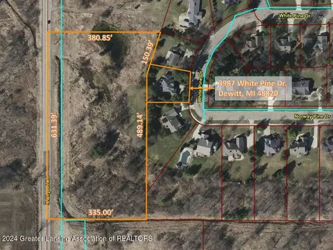 3987 White Pine Dr, Dewitt, MI 48820 photo 59