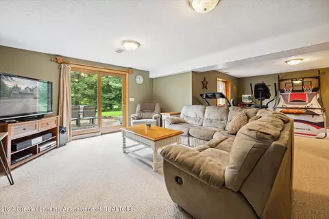 3987 White Pine Dr, Dewitt, MI 48820 photo 39