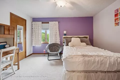 3987 White Pine Dr, Dewitt, MI 48820 photo 31