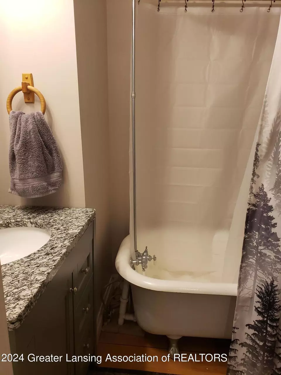 Bath - 3027 Alfred Ave, Lansing, MI 48906 photo 2 of 2