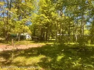 2763 Azalea Ln, Harrison, MI 48625 photo 12