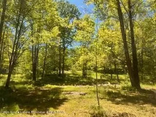 2763 Azalea Ln, Harrison, MI 48625 photo 10