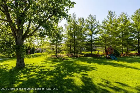 13162 Blaisdell Dr, Dewitt, MI 48820 photo 47