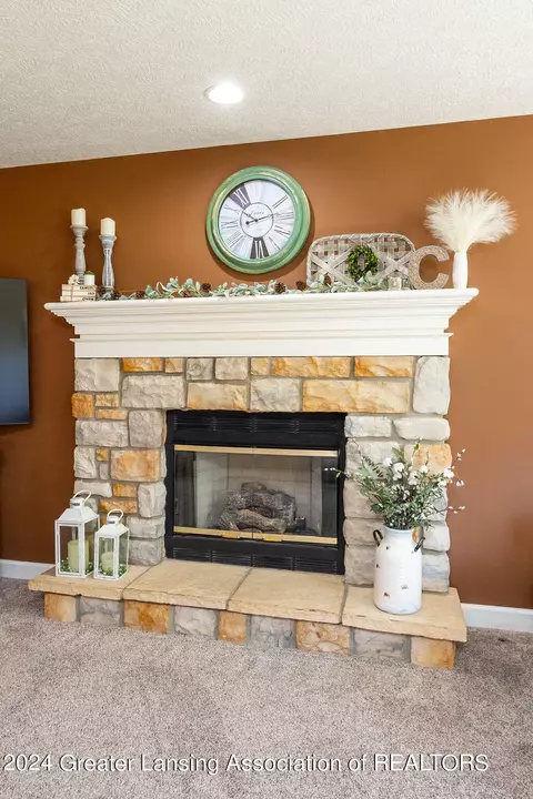 13162 Blaisdell Dr, Dewitt, MI 48820 photo 19