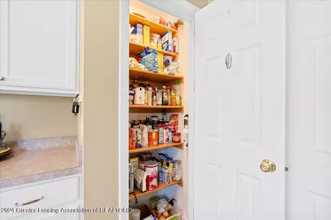 Other - 14849 Hardtke Dr, Lansing, MI 48906 photo 5 of 14