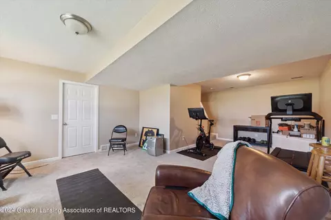 1265 Lobelia Ln, Dewitt, MI 48820 photo 38