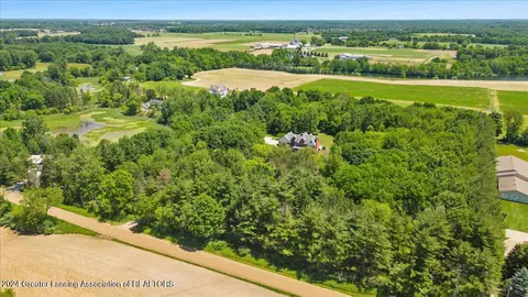 View/Area - 13187 S Lowell Rd, Dewitt, MI 48820 photo 3 of 9