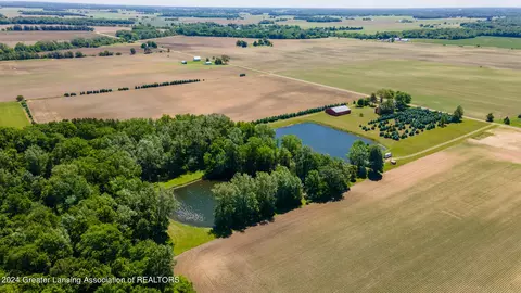 Other - 8369 E Grenlund Rd, Bannister, MI 48807 photo 23 of 31