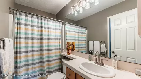 Bath - 7783 Forestview Dr, Haslett, MI 48840 photo 3 of 4