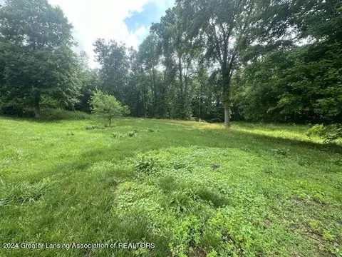 5982 E Bippley Rd, Sunfield, MI 48890 photo 31