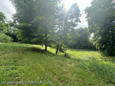 5982 E Bippley Rd, Sunfield, MI 48890 photo 32