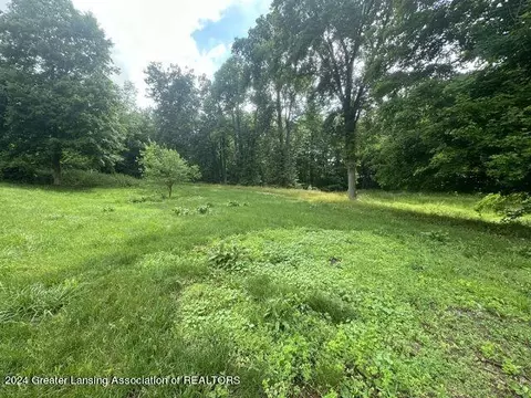 5982 E Bippley Rd, Sunfield, MI 48890 photo 30